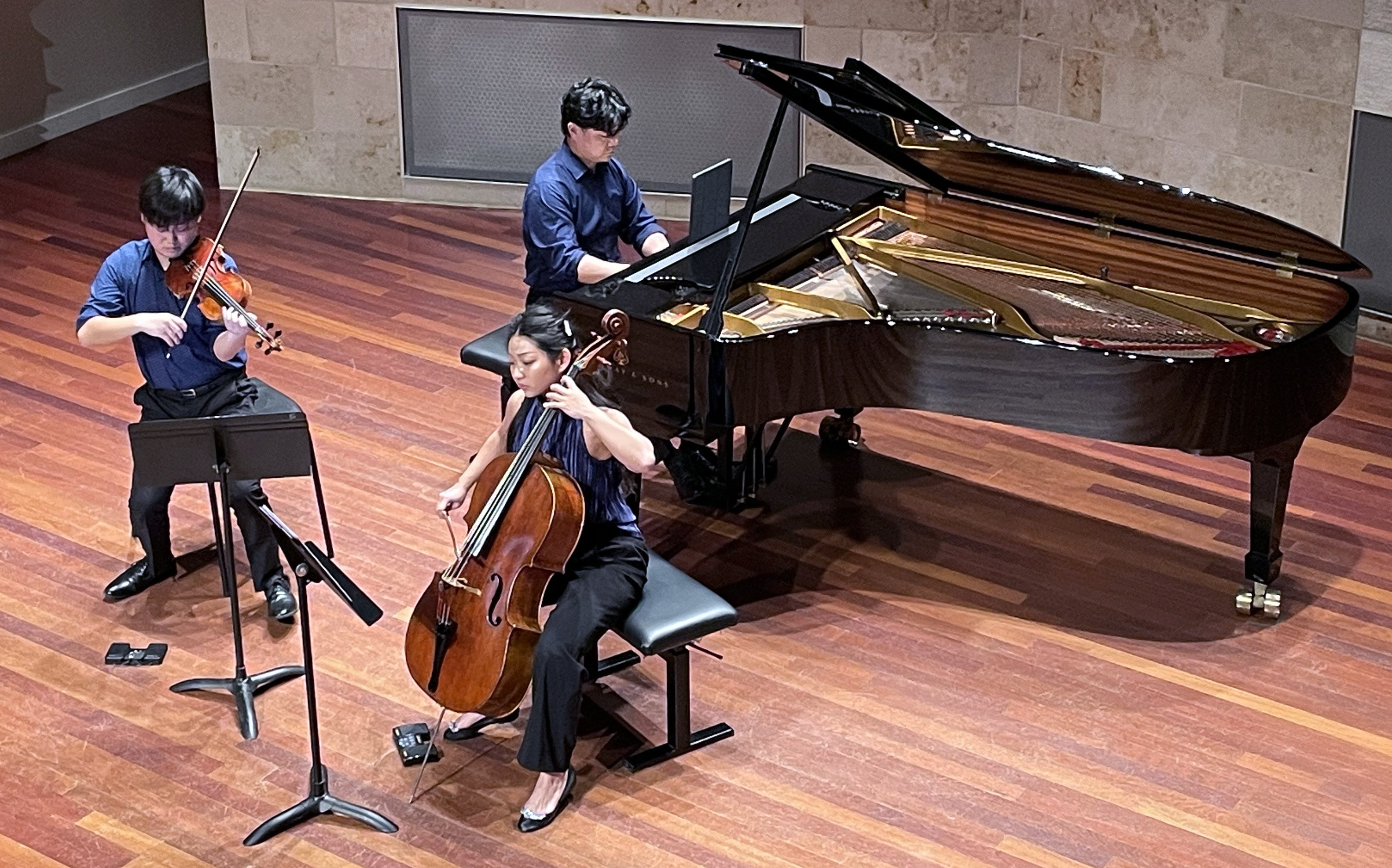 Ethea Trio Performing